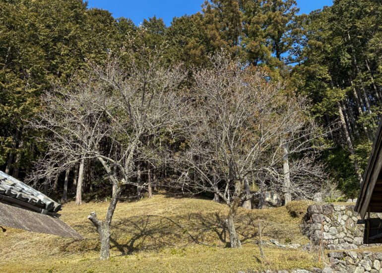 Empty home in Japan