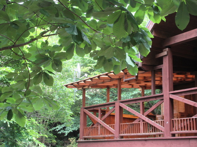 1990s wood house on a large plot in Nagano