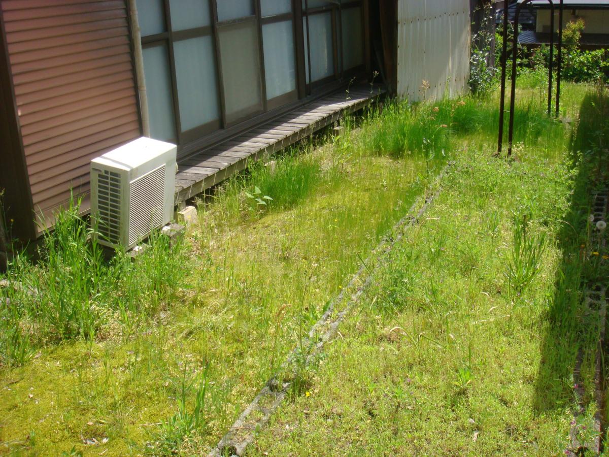 Wood house near the coast in Miyazu, Kyoto