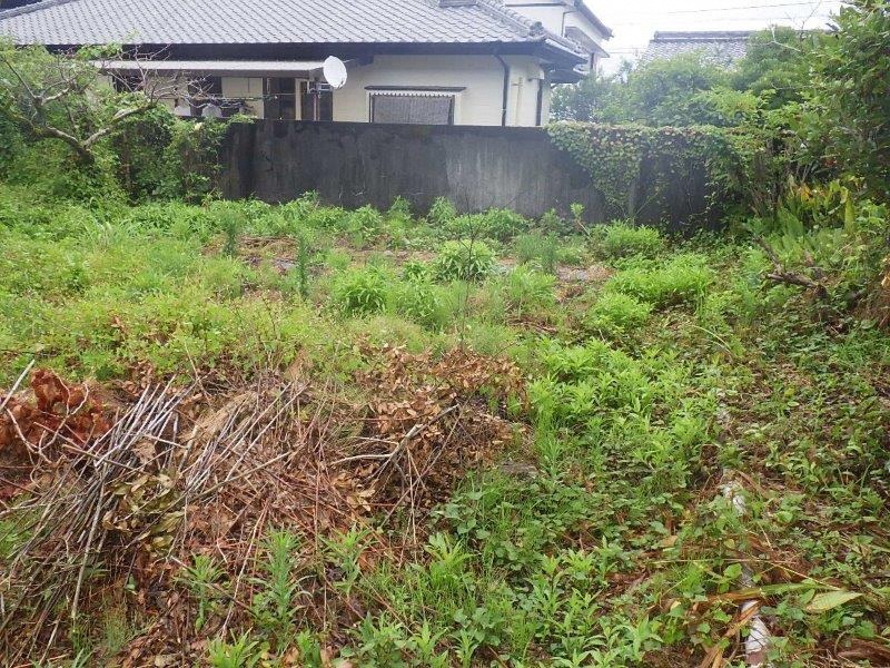 Wood house in Kochi