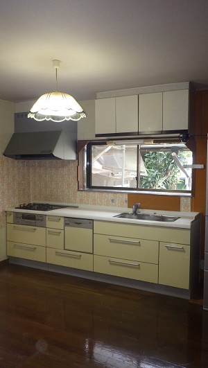 1990s wood house on a large plot in Tochigi