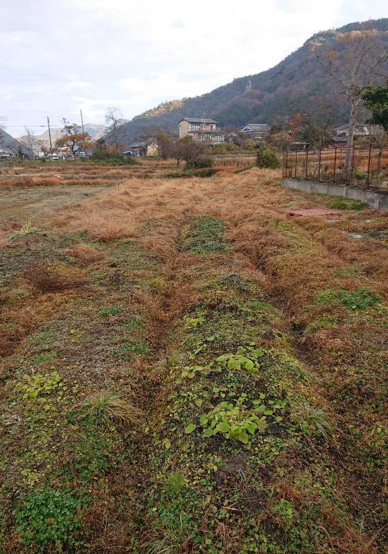 House, 7-min walk to station, Hyogo