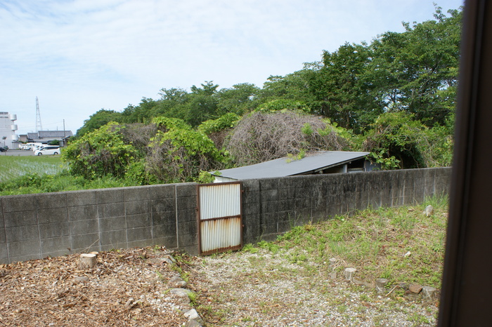 1980s wood house in Kochi