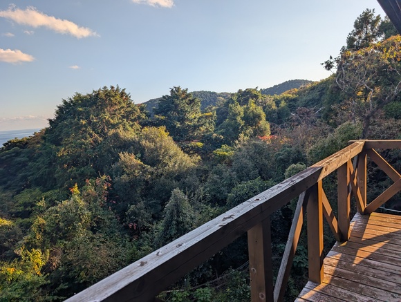 Wood house in Tokushima