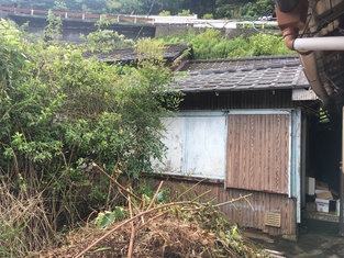 House in Kochi