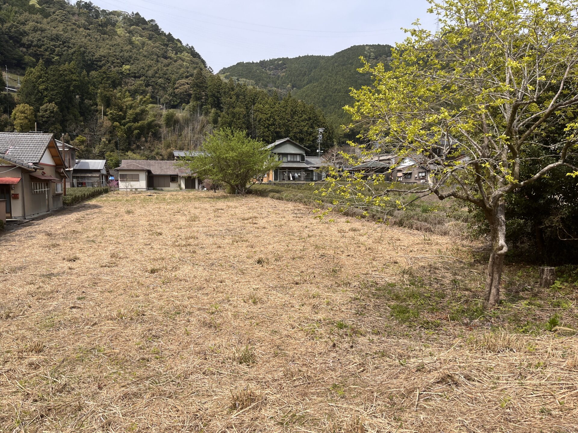 1950s wood house on a large plot in Shizuoka