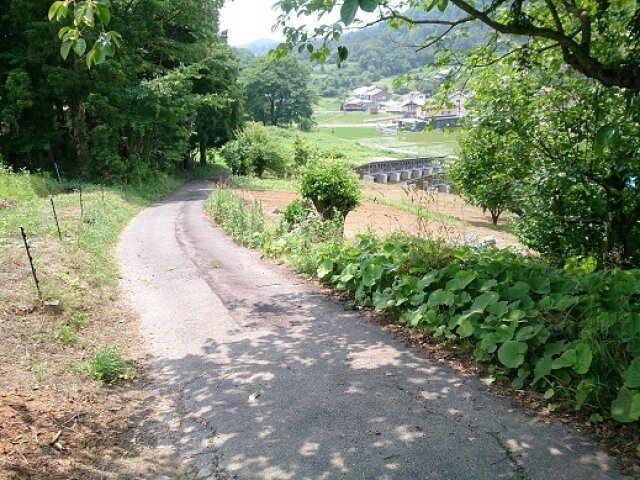 1970s wood house on a large plot in Fukushima