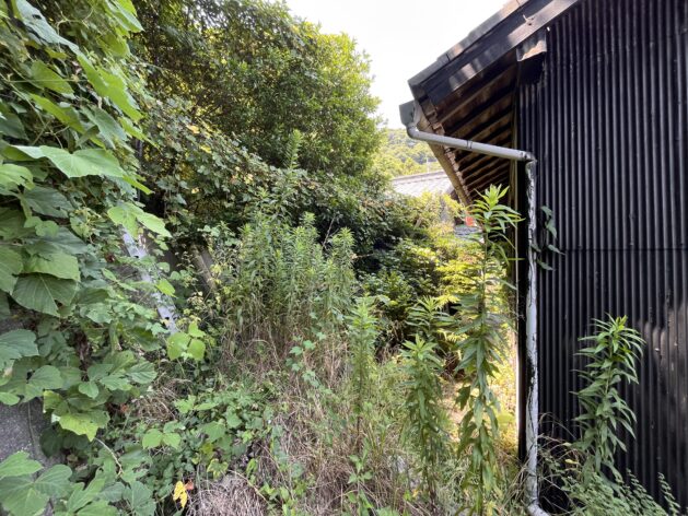 1950s house in Ehime