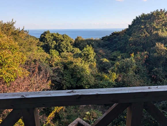 Wood house in Tokushima