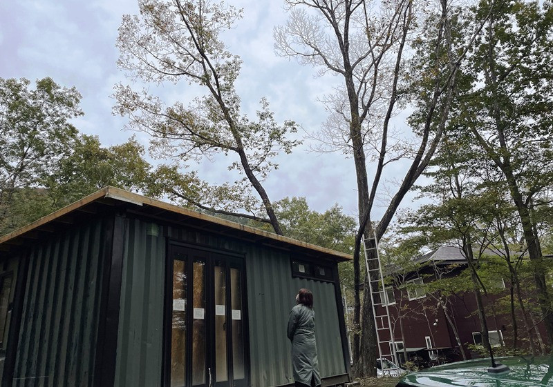Steel-frame house in Miyagi