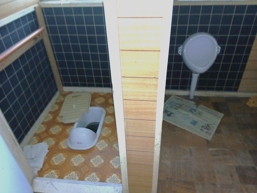 1980s wood house on a large plot in Iwate