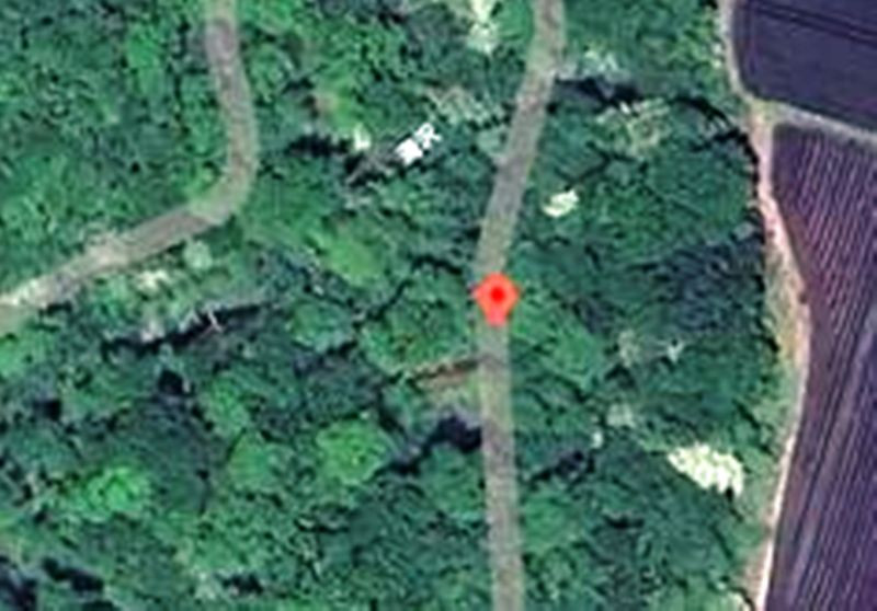 House in Gunma