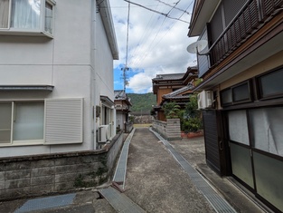 House in Kochi