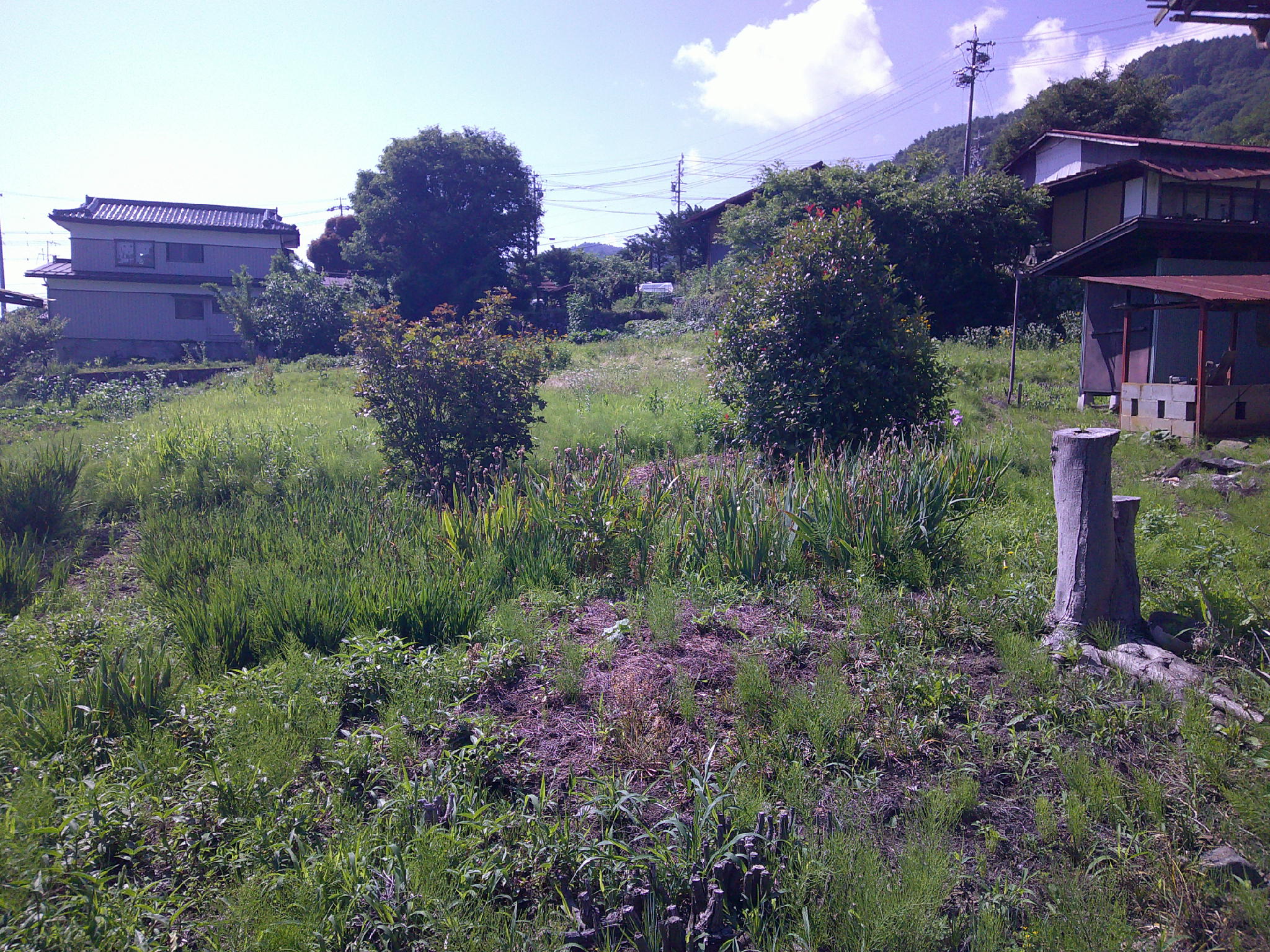 1870s wood house on a large plot in Nagano