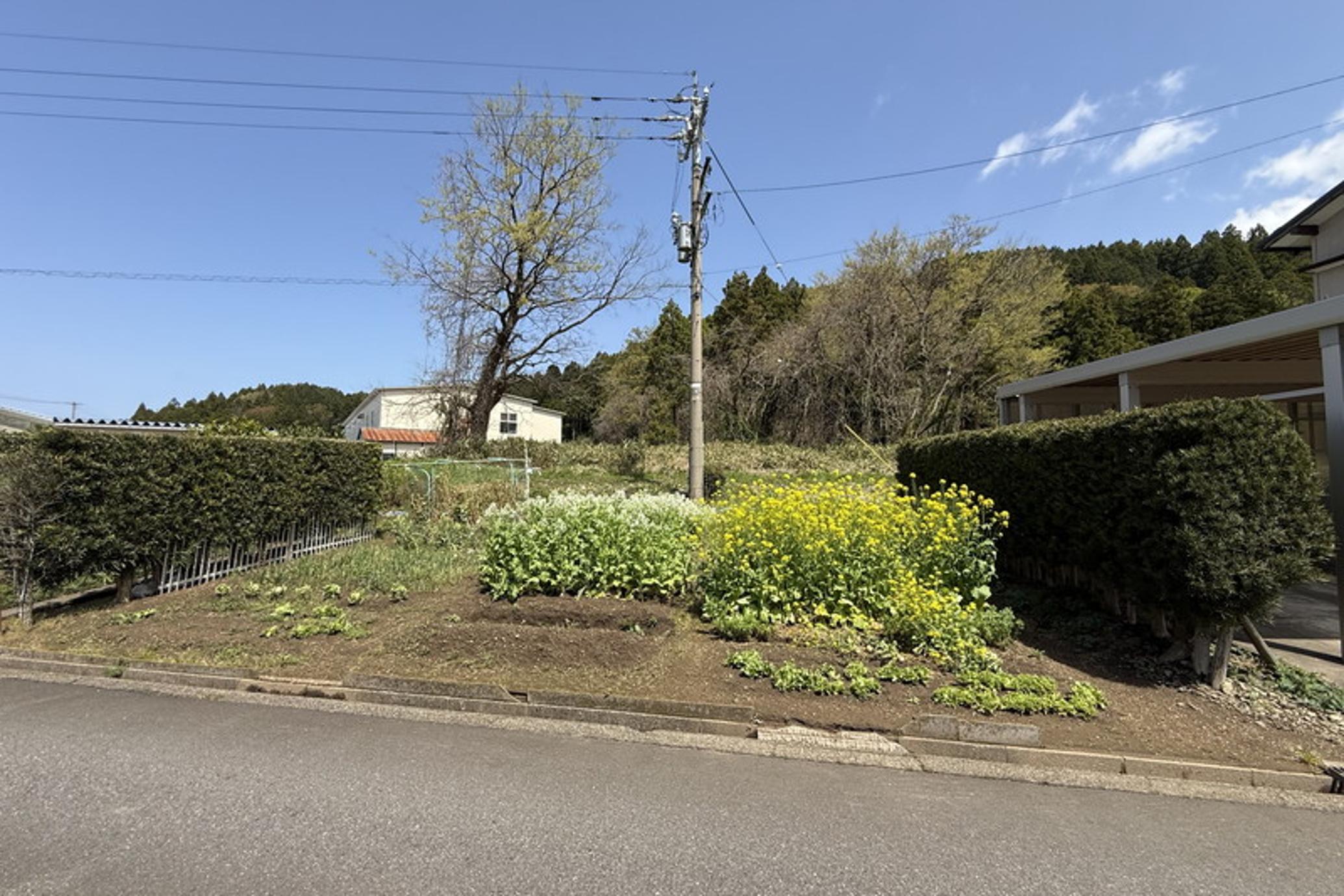 1960s wood house in Fukui