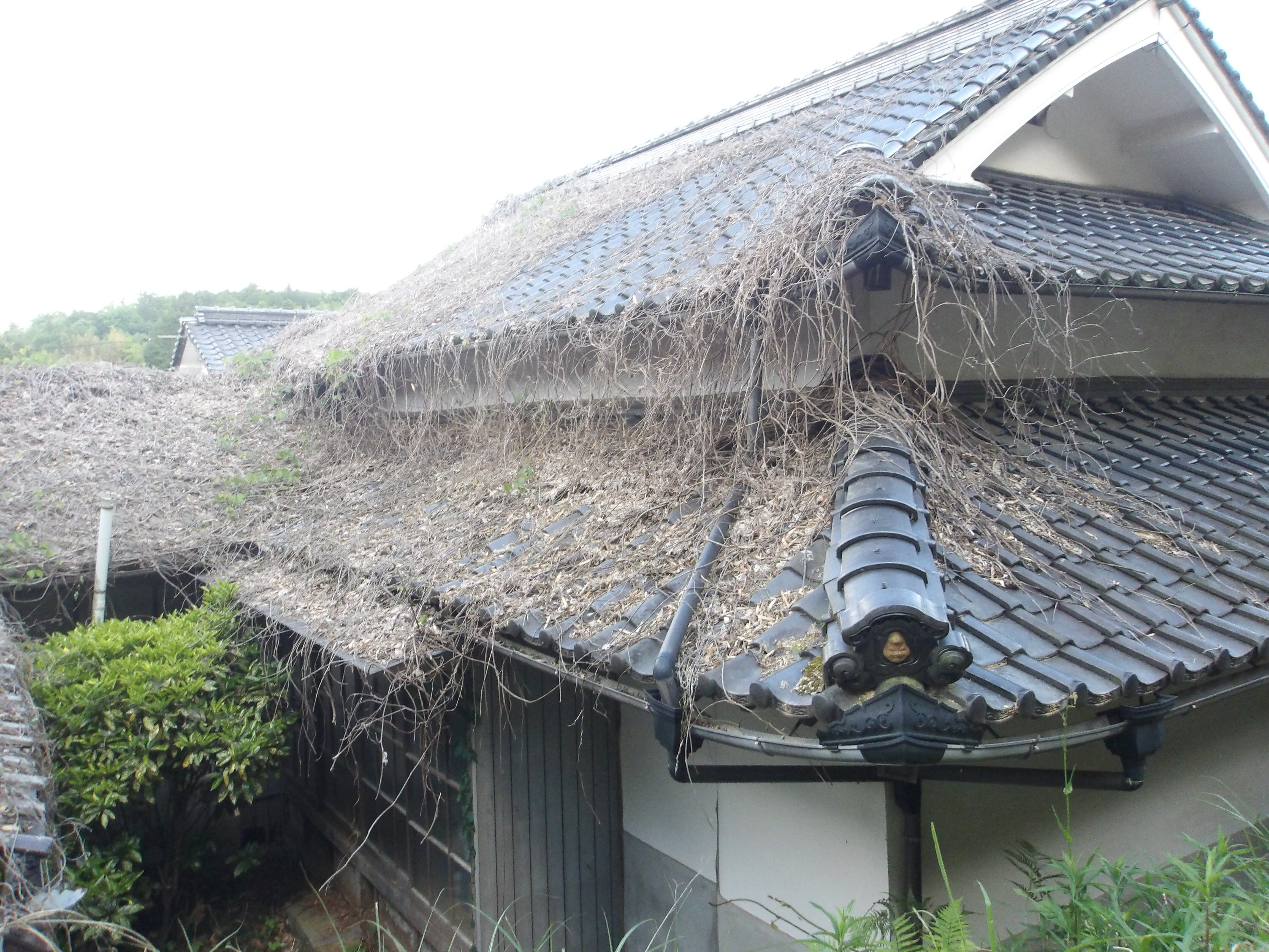 1950s wood house in Okayama