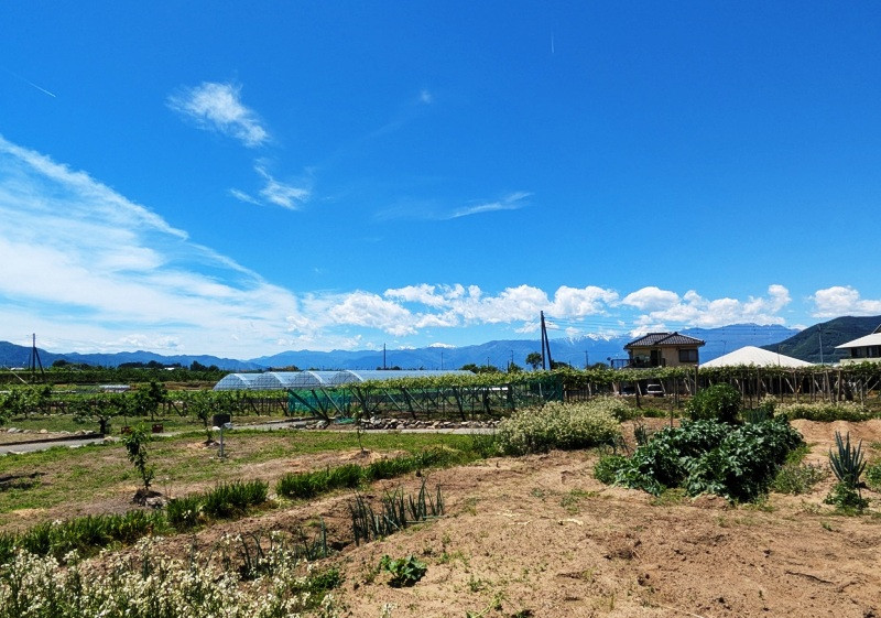 Wood house on a large plot in Yamanashi
