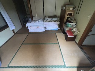 House in Kochi