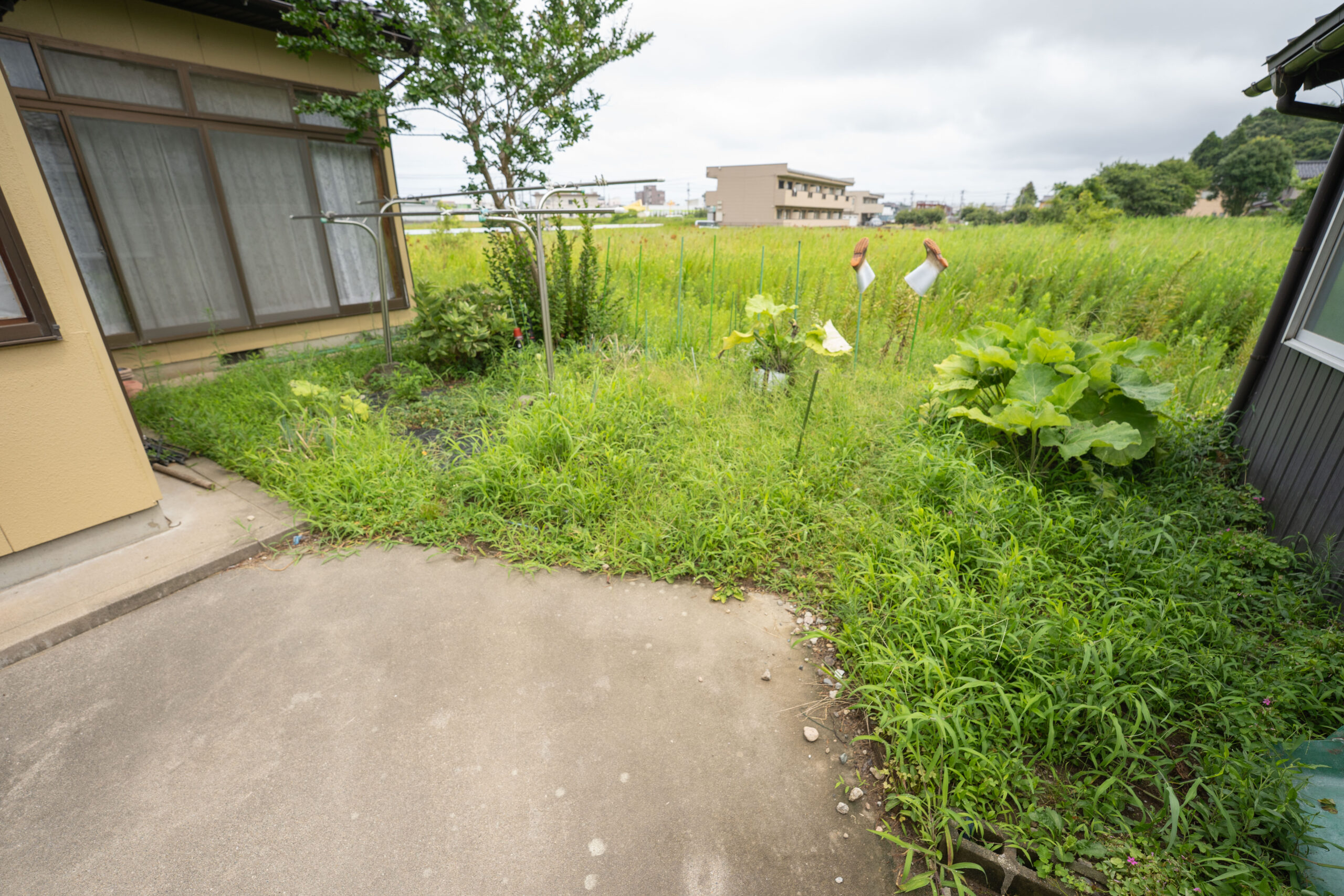 House in Himi