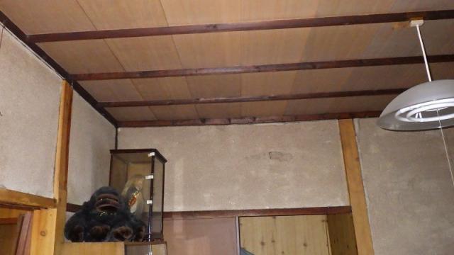 Wood house, 20-min walk to station, Nagasaki