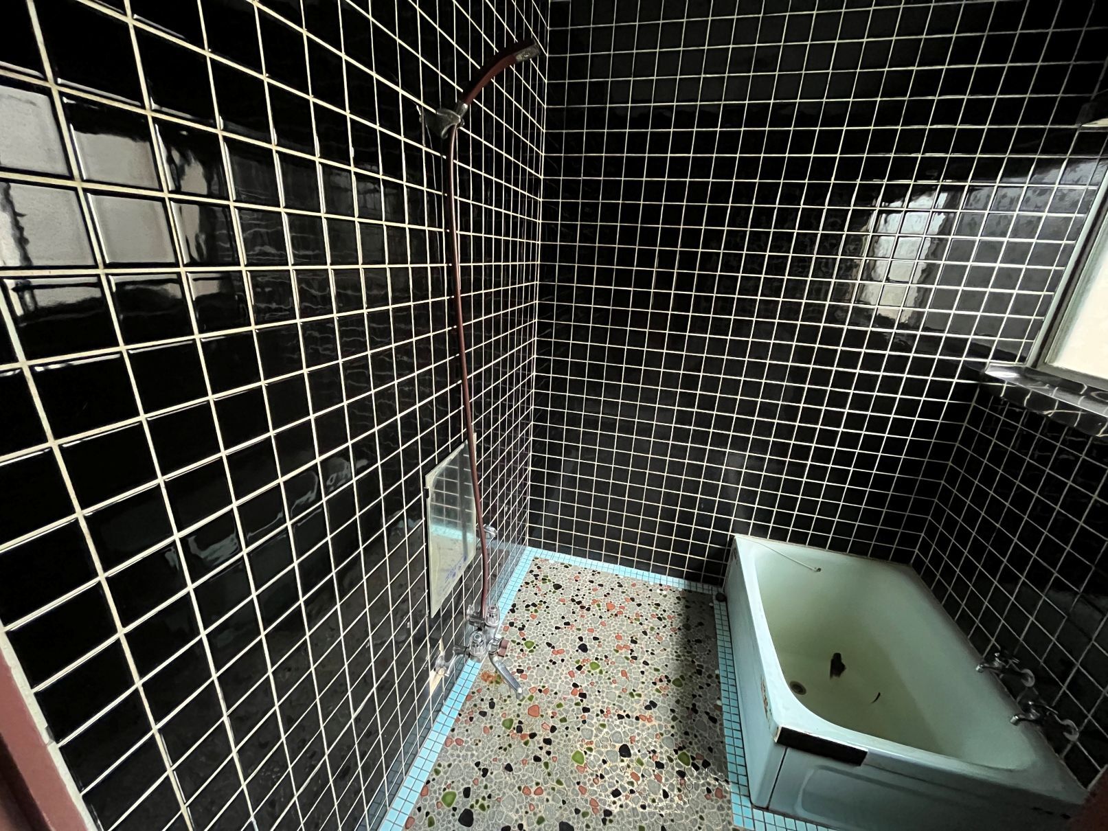 Property #60, Kuji City Kawanuki