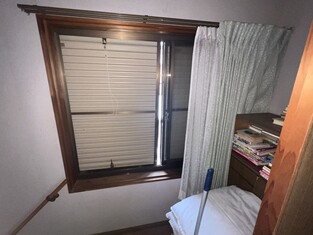 House in Kochi