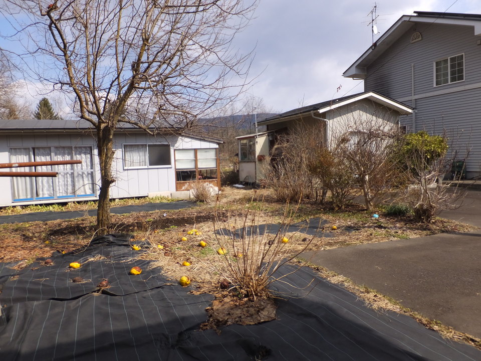 1990s wood house, 17-min walk to station, Iwate