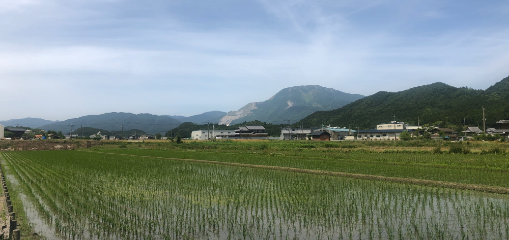 Wood house in Shiga