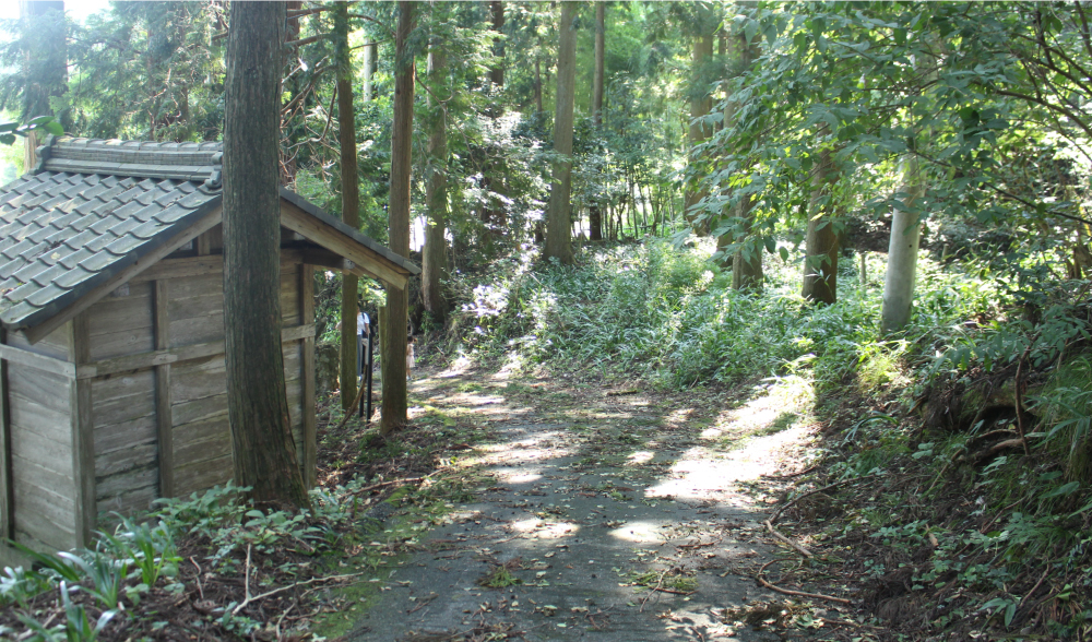Wood house in Shiga