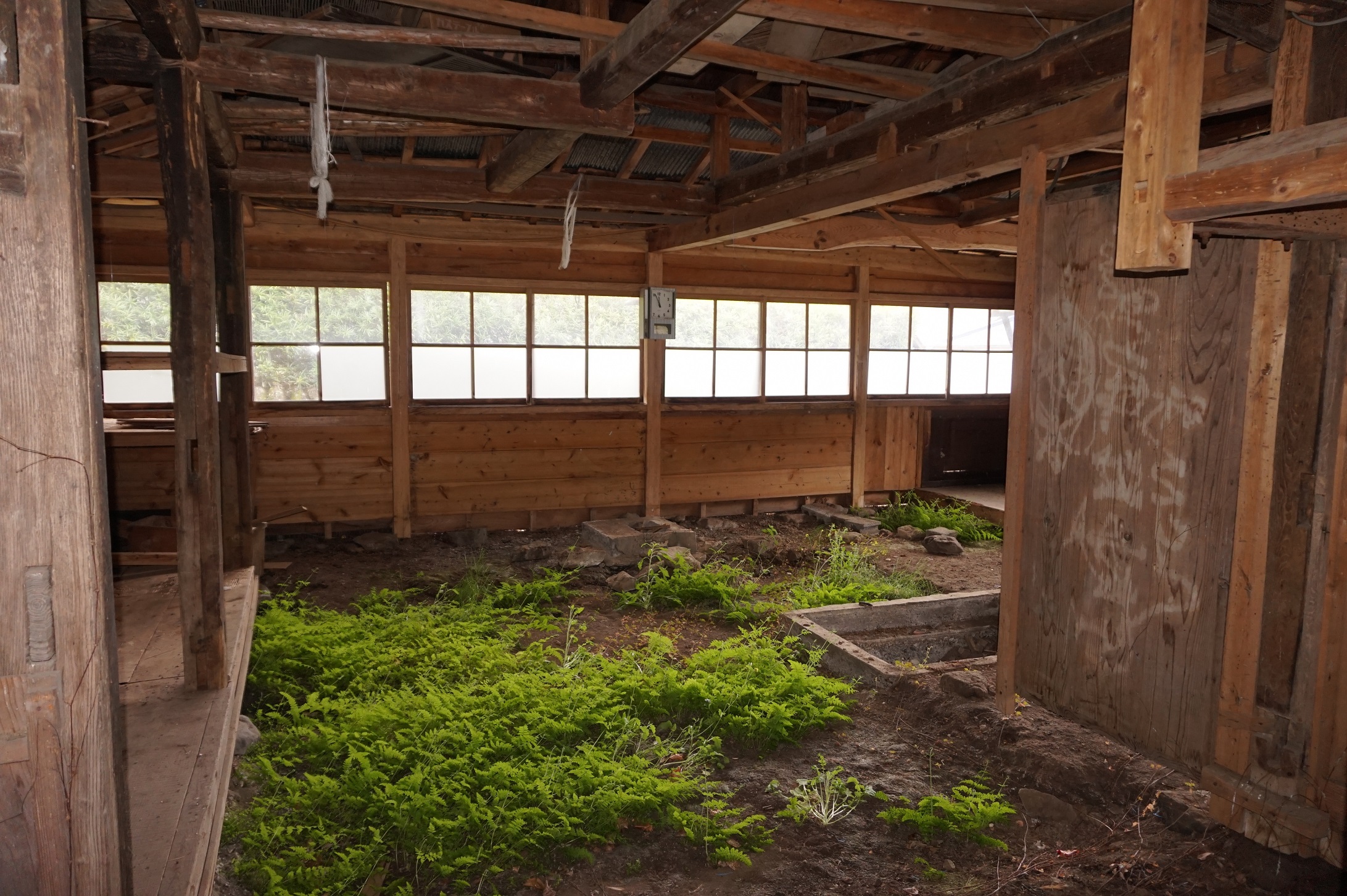 Wood house in Shizuoka