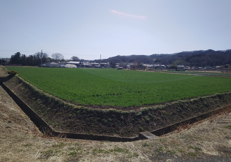 1990s wood house, 18-min walk to station, Saitama