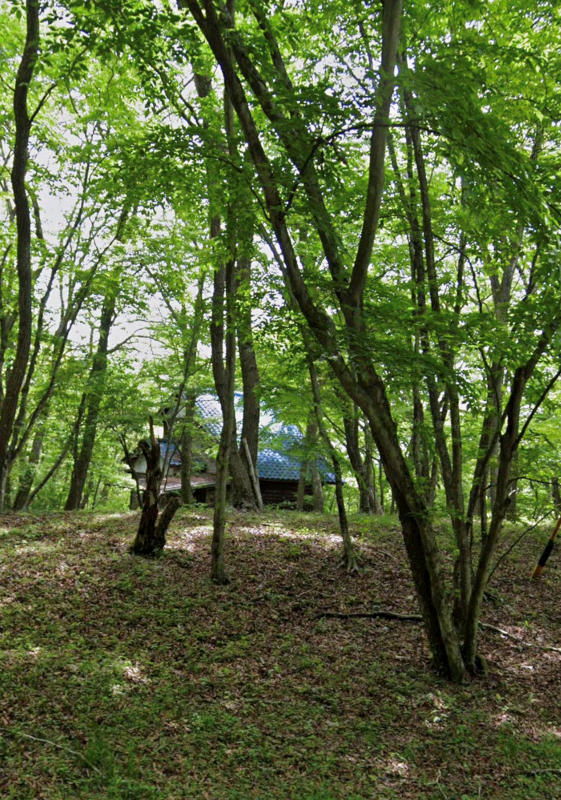 Wood house on a large plot in Nagano