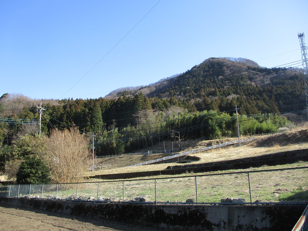 Wood house in Gunma