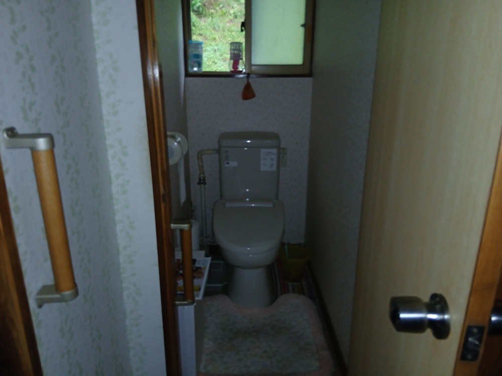 1990s wood house on a large plot in Iwate