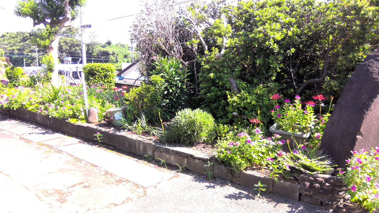 1960s wood house in Koyama, Kimotsuki