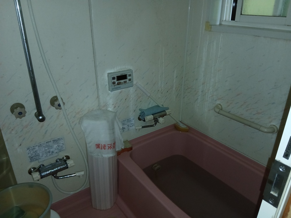 1990s wood house on a large plot in Iwate