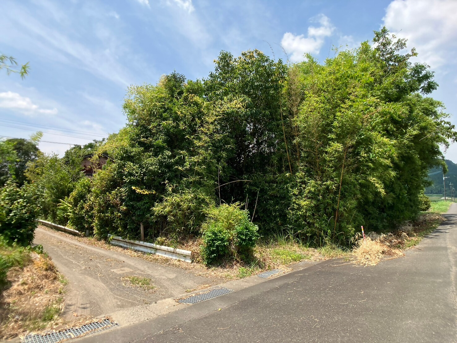 1950s wood house on a large plot in Sumiyoshi, Aira