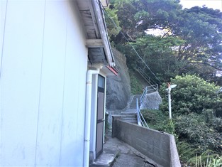 House in Kochi