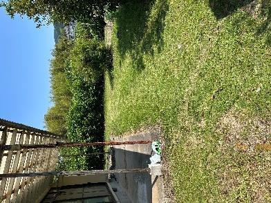 1980s wood house on a large plot in Funaki, Satsuma
