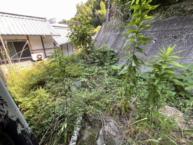 1950s house in Ehime