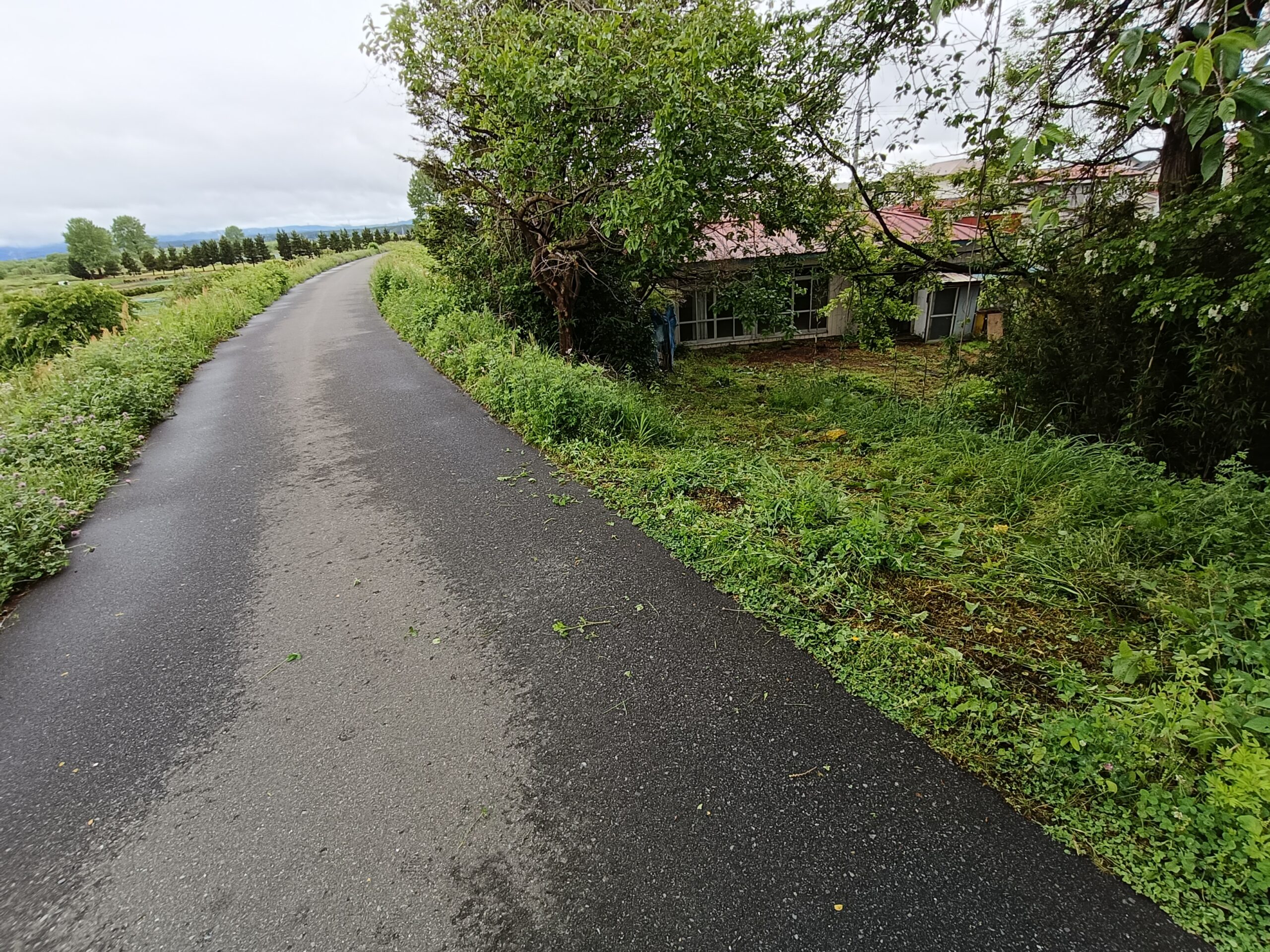 House in Miyagi
