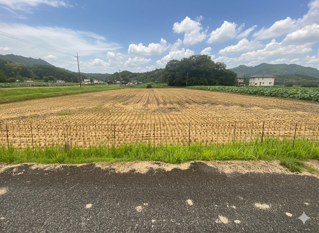Wood house on a large plot in Yamaguchi