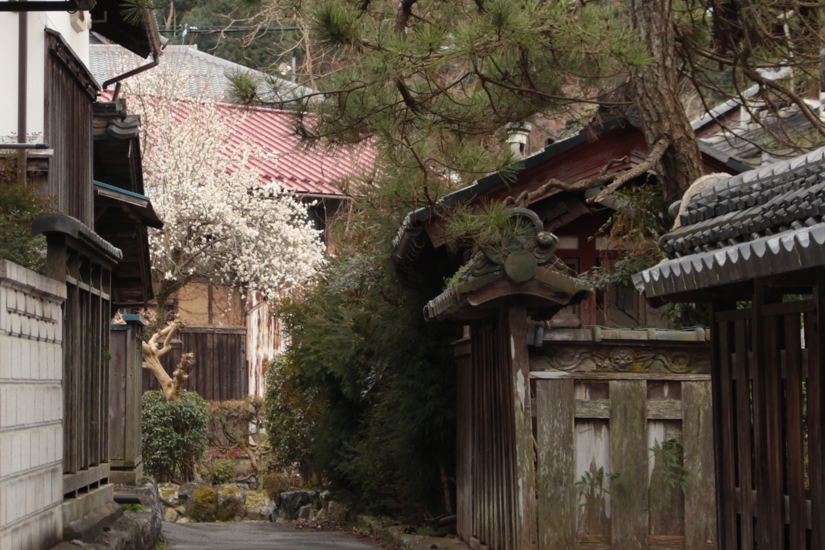 House, 4-min walk to station, Shiga