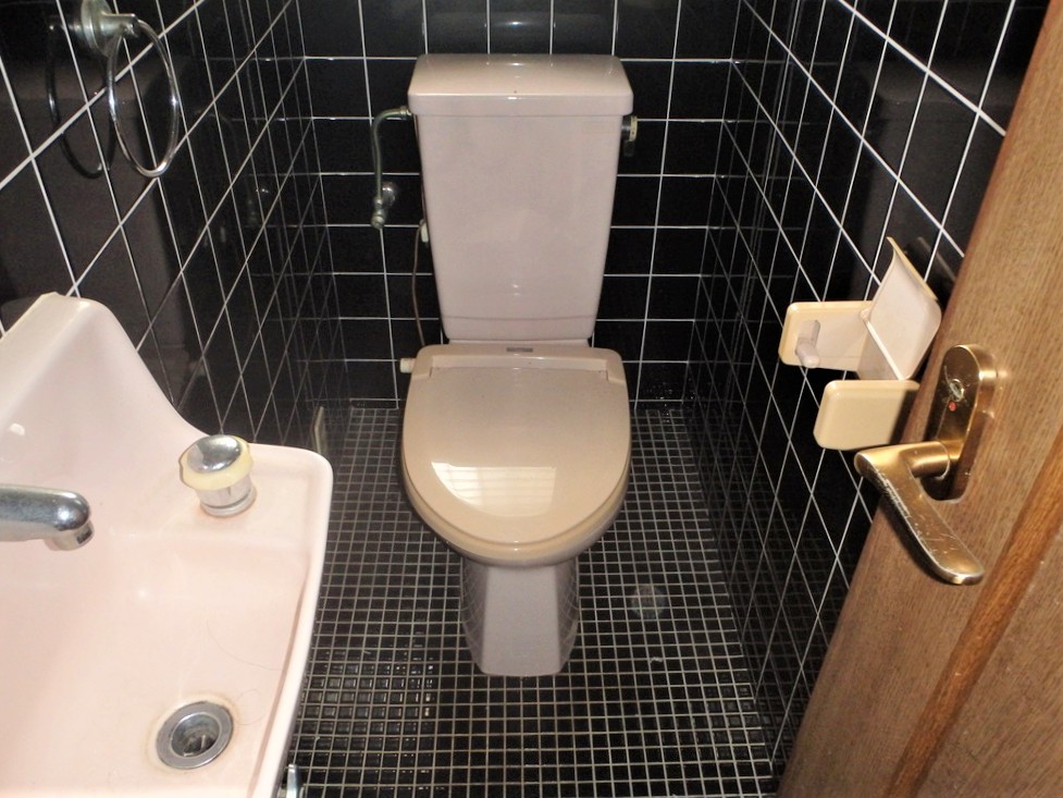 1990s wood house in Kagawa