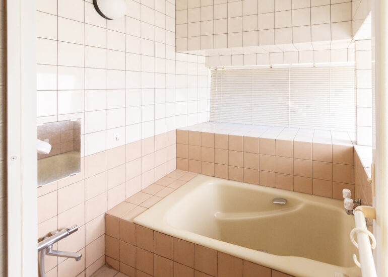 Wood house on a large plot in Matsusaka Kahada