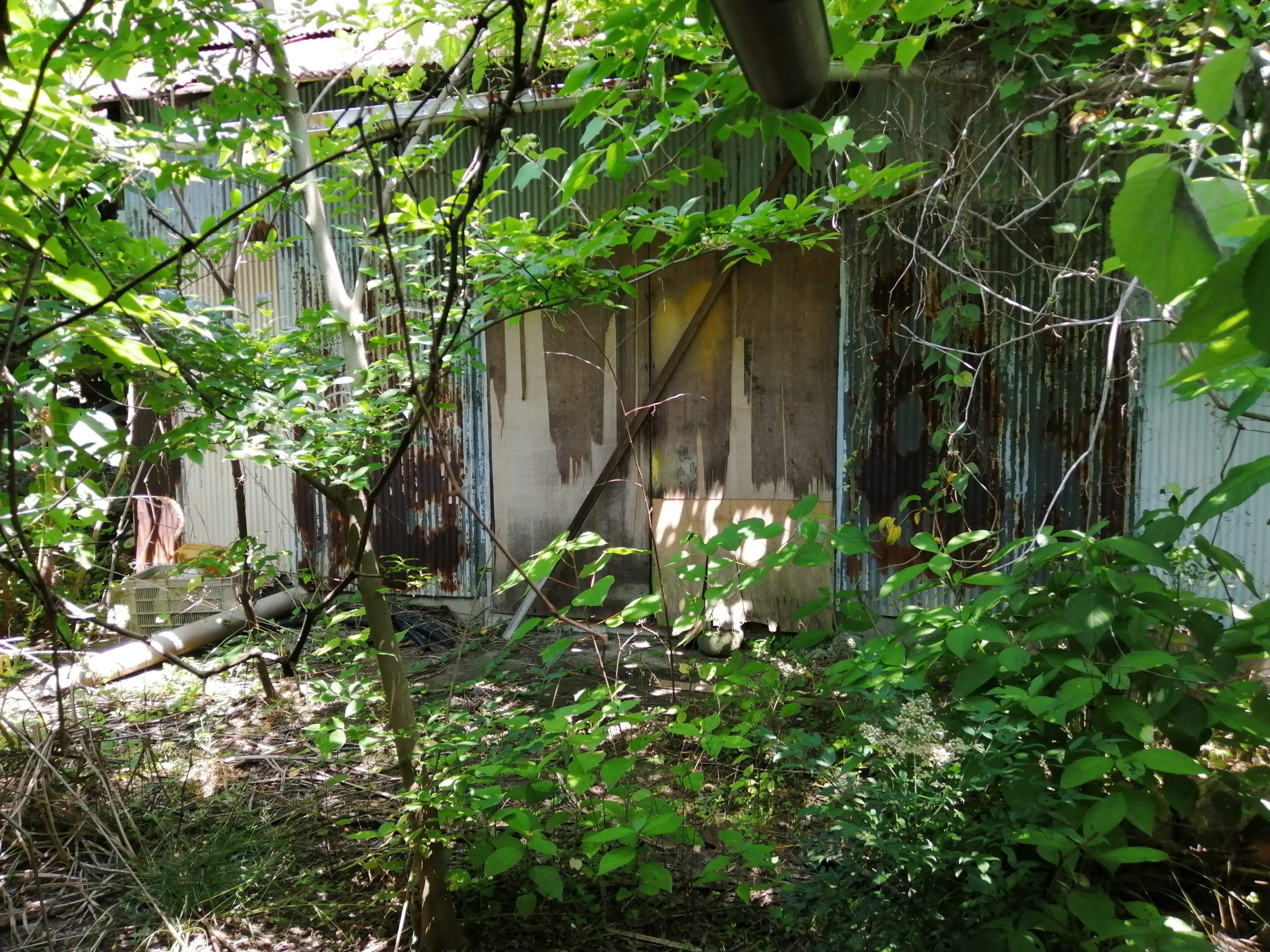 1920s wood house, 18-min walk to station, Gifu