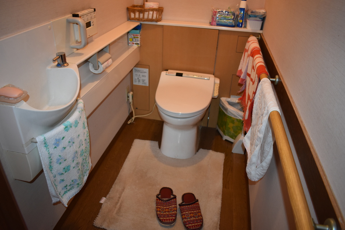 House on a large plot in Yamanashi