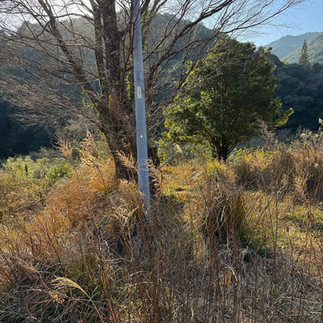 1980s wood house on a large plot in Mie