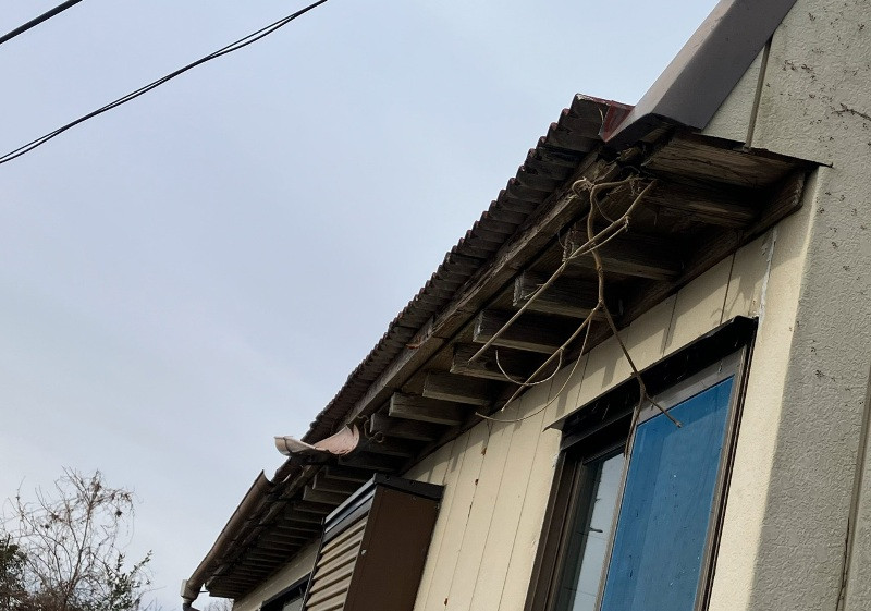 2010s wood house in Kochi