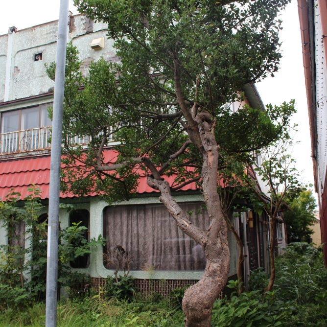 1960s wood house in Aomori